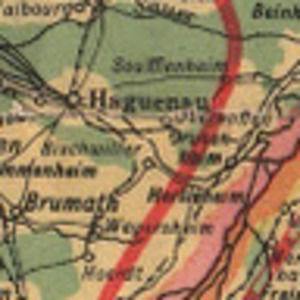 Meet your Posher, Jessie